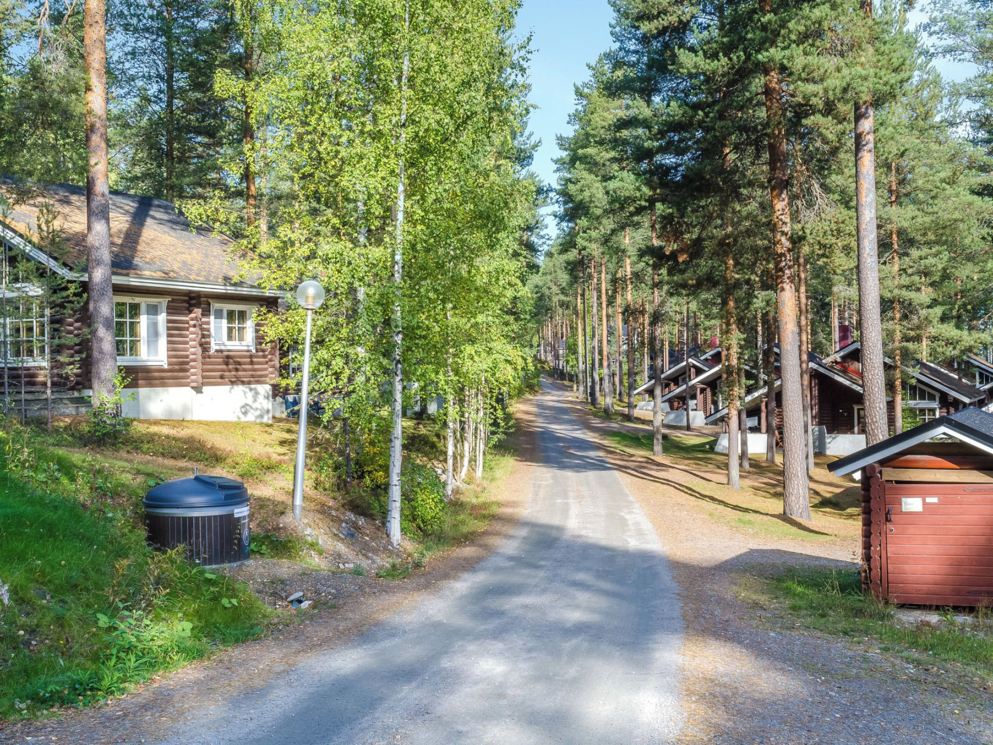 A forested area with a gravel road leading to a cabin-style building with a visible window and a lamp post.