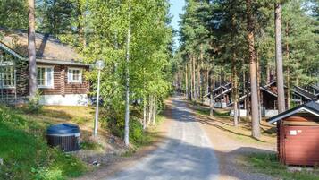 A forested area with a gravel road leading to a cabin-style building with a visible window and a lamp post.