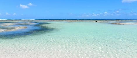 Beach nearby, sun-loungers