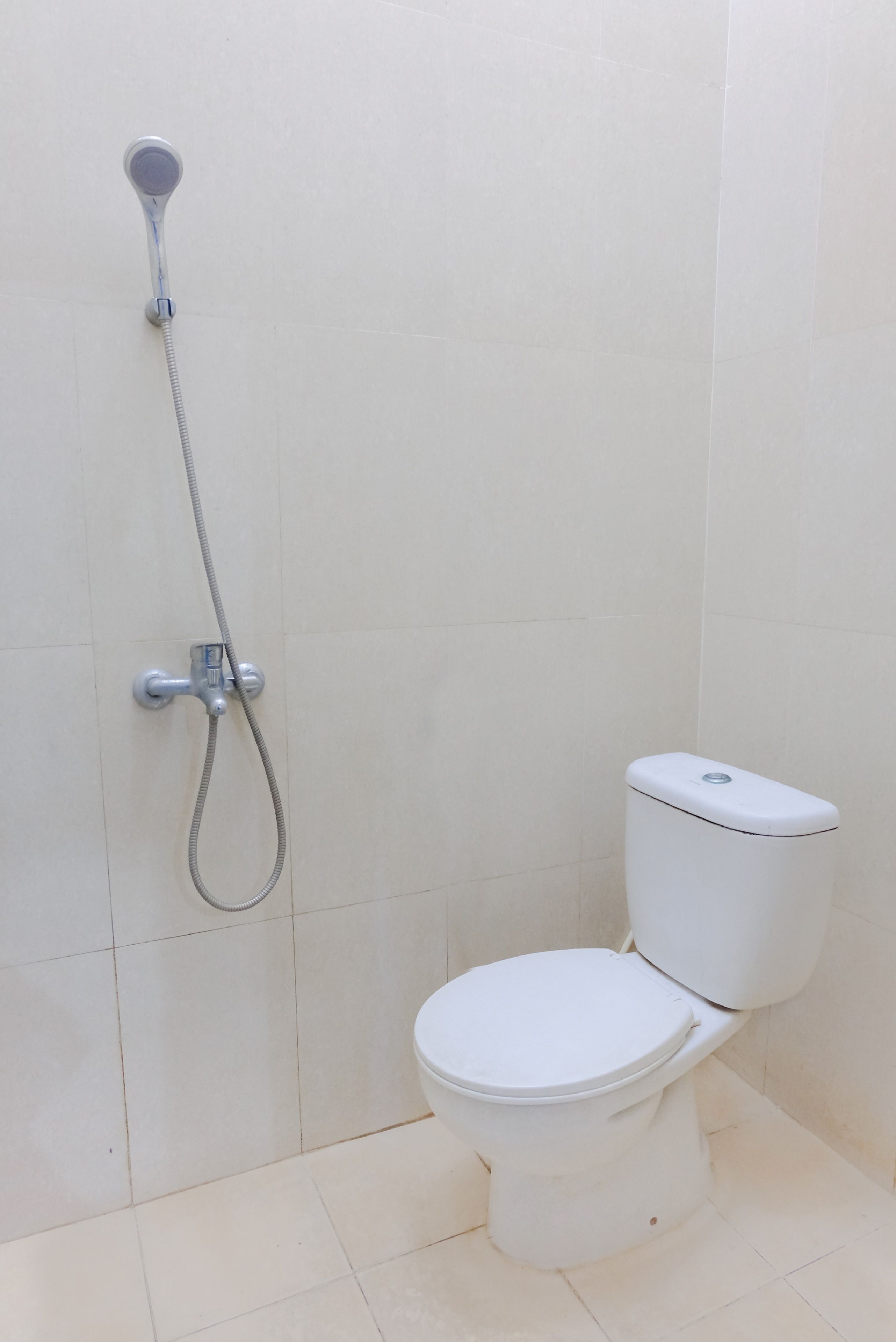 Een badkamer met een toilet en een douche.
