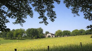 Ländliche Landschaft mit einem Haus, Bäumen und einem Feld.