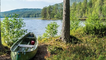 A green canoe tied to a tree by a lakeside with dense forest in the background.