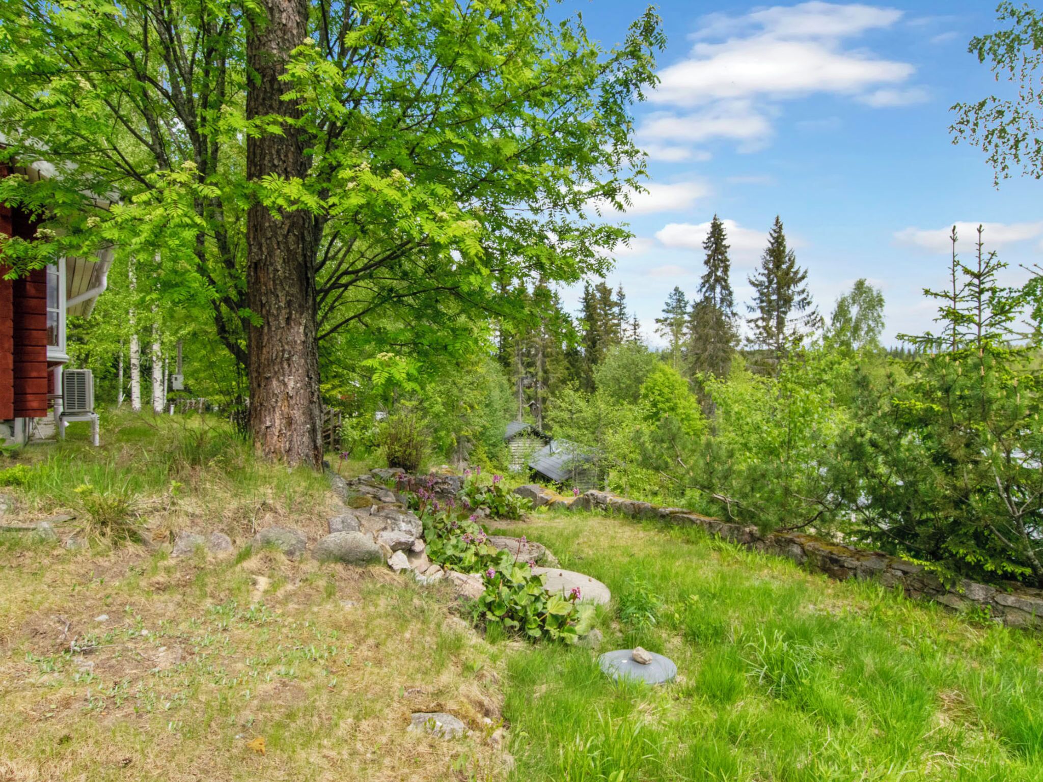 A rustic cabin with a large tree in front, surrounded by lush greenery and a stone wall.