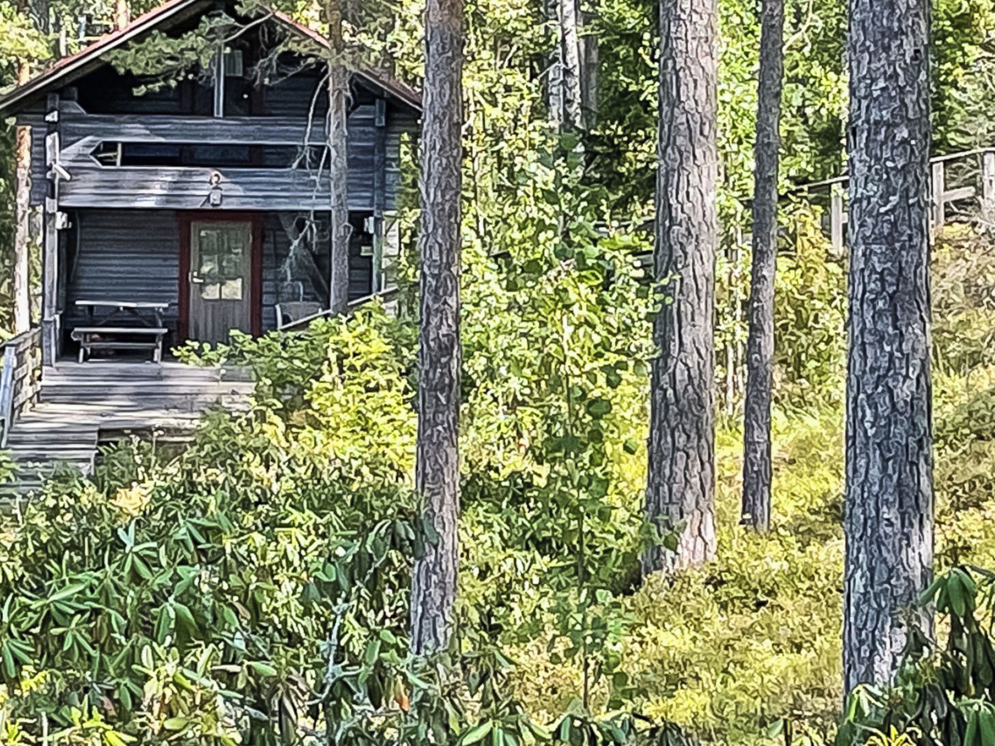 En rustik stuga med en veranda, omgiven av tät vegetation och höga träd.
