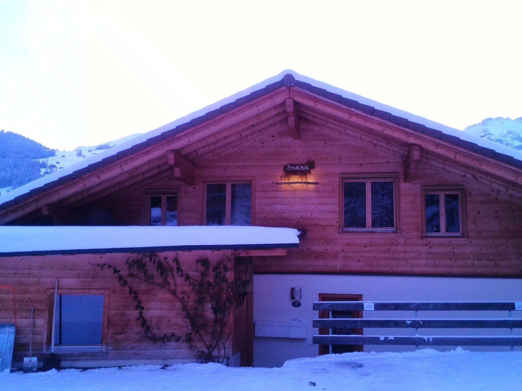 Eksteriør