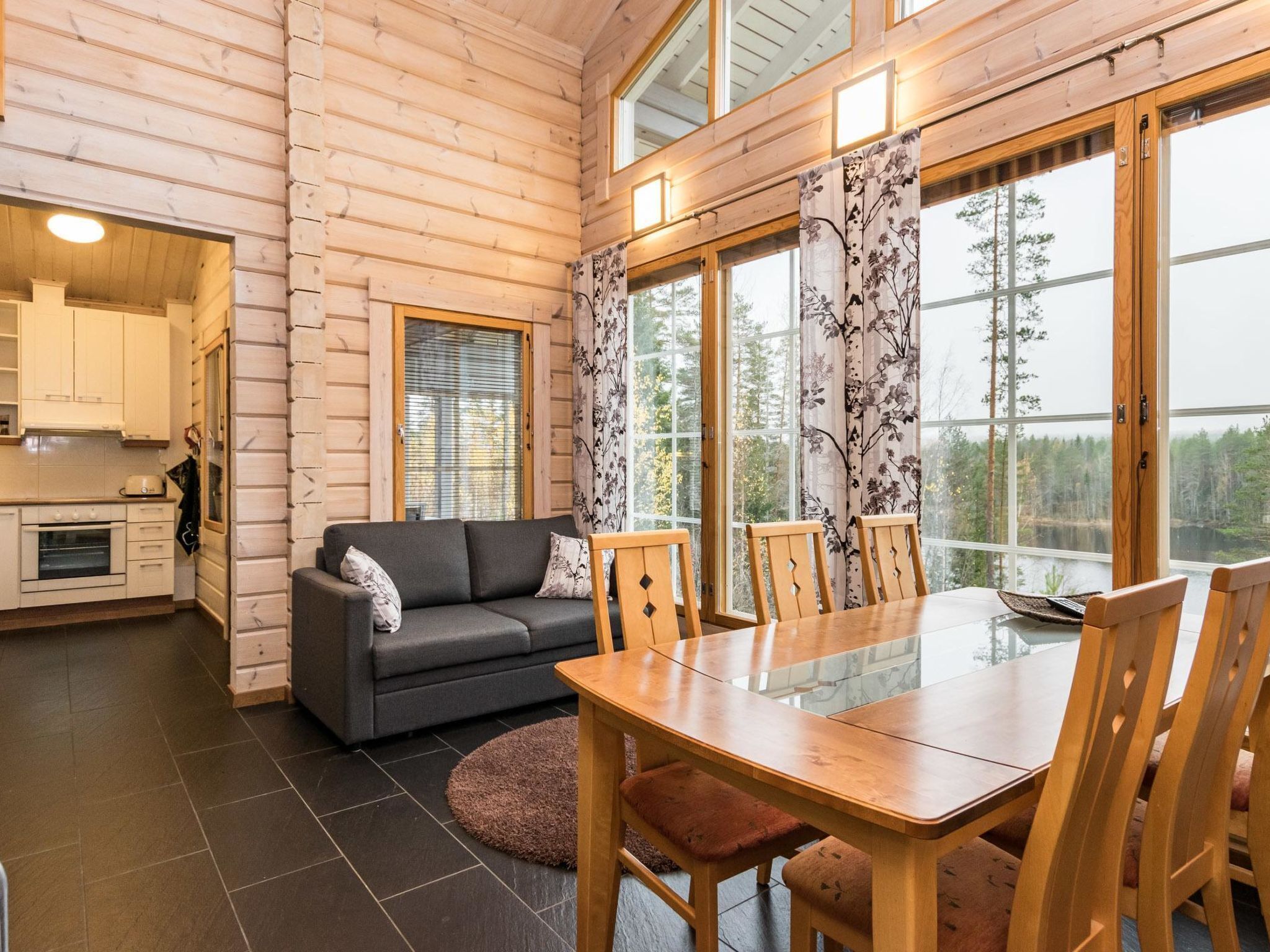 电视、DVD 播放器