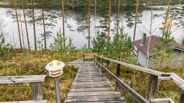 Een houten terras leidt naar een steiger boven een rustig meer, omgeven door hoge bomen en een huis op de achtergrond.