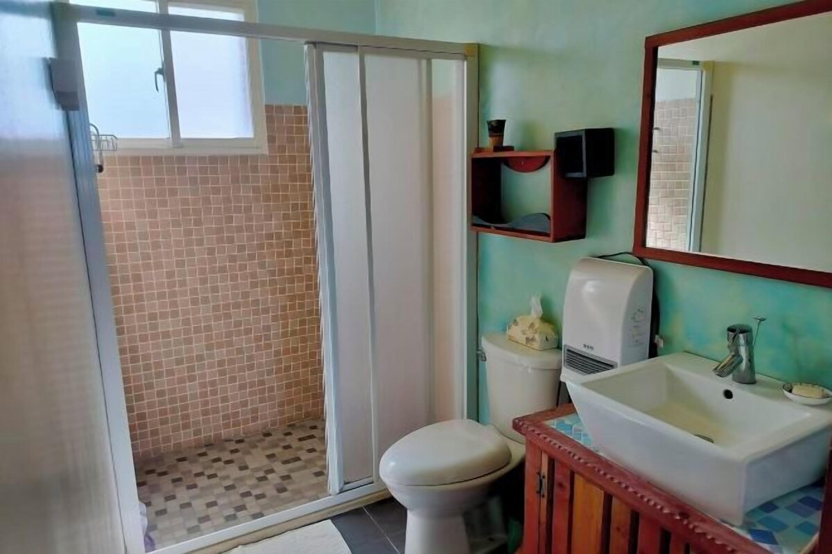 A bathroom with a toilet, sink, mirror, and a shower area.