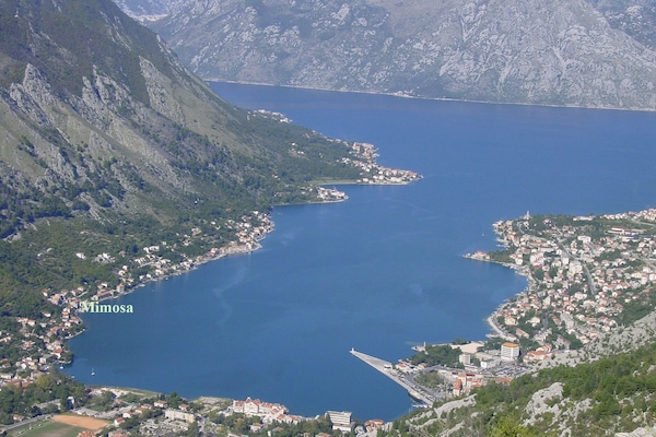 View of Kotor Bay and Mimosa