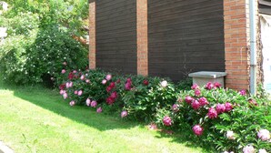A building with a brick and wooden facade, a grassy lawn, and a variety of flowering plants. - Guest House Pod Hajkem (Horni Branna)
