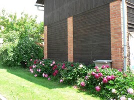 Un edificio con fachada de ladrillo y madera, un césped y diversas plantas en flor.