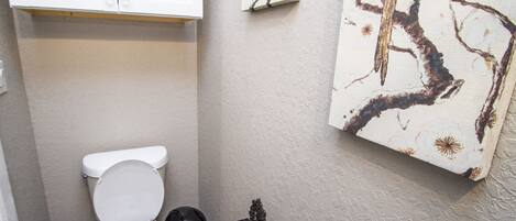 Un baño pequeño con inodoro, un cubo de basura y un dispensador de papel higiénico.