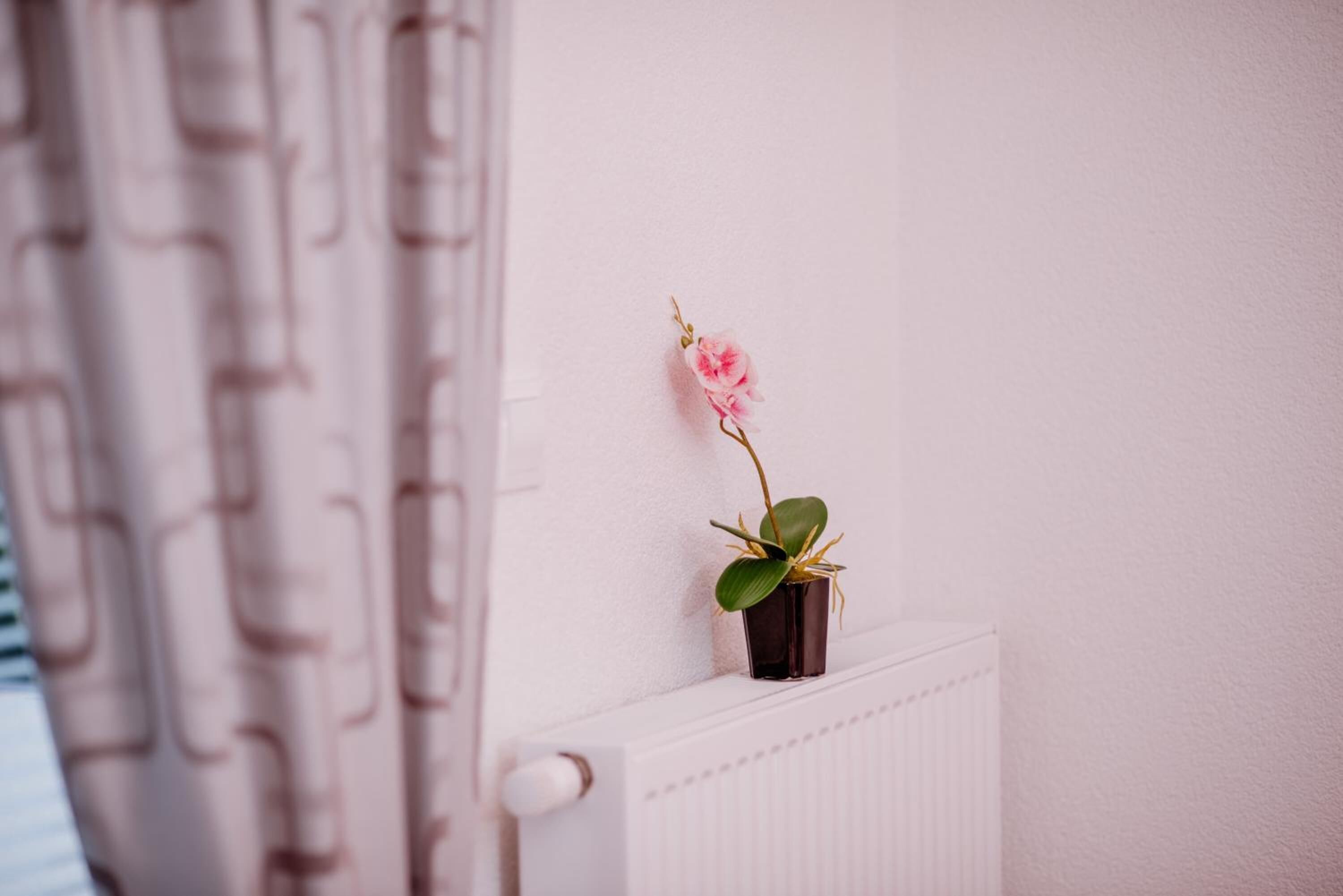 Un radiador blanco con una pequeña planta en maceta encima.
