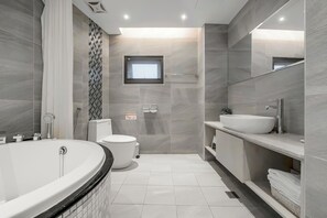 Secador de cabelo, toalhas de banho, shampoo, papel higiênico