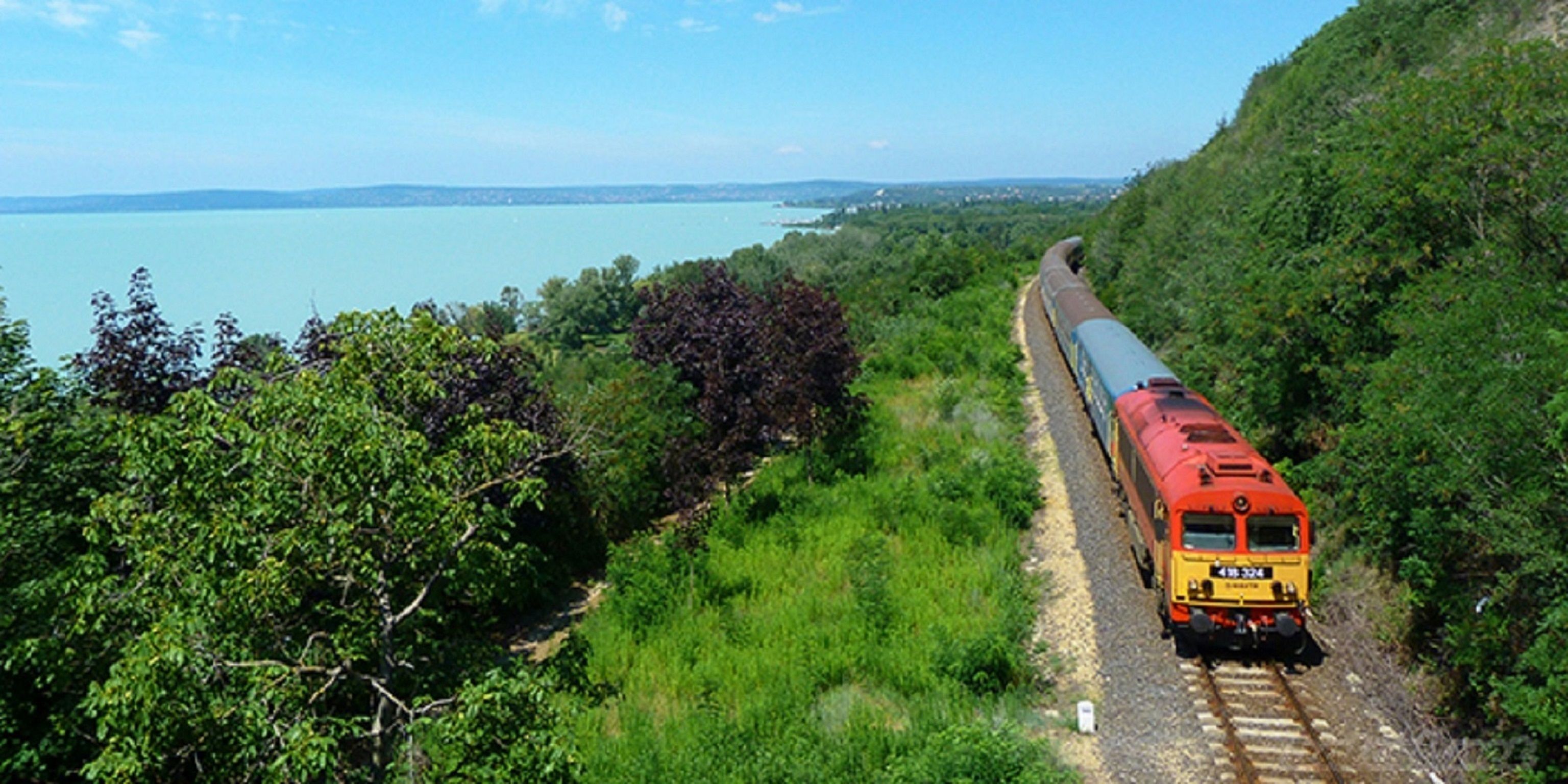 A train traveling along a track surrounded by lush greenery and a body of water in the background.