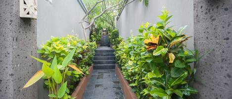 Enceinte de l’hébergement