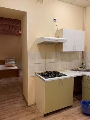 Private kitchen - Moisha Apartment Kotlyarskaya 10-9 (Lviv)