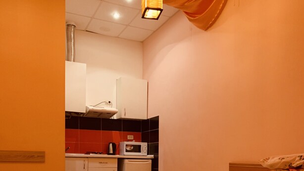 Apartment | Iron/ironing board, free WiFi, bed sheets - Moisha Apartment Kotlyarskaya 10-22 (Lviv)