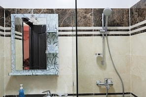 Shower, hair dryer, bidet, towels