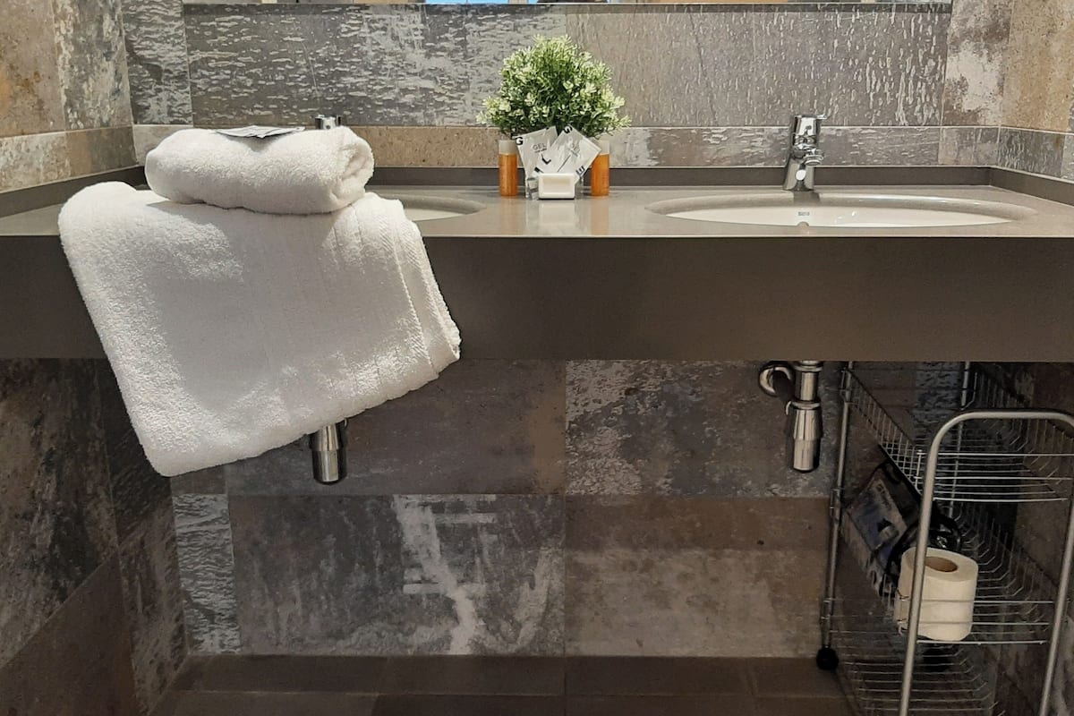 A bathroom with a large mirror, two sinks, a towel rack with a white towel, a small potted plant, and a metal rack with toilet paper.
