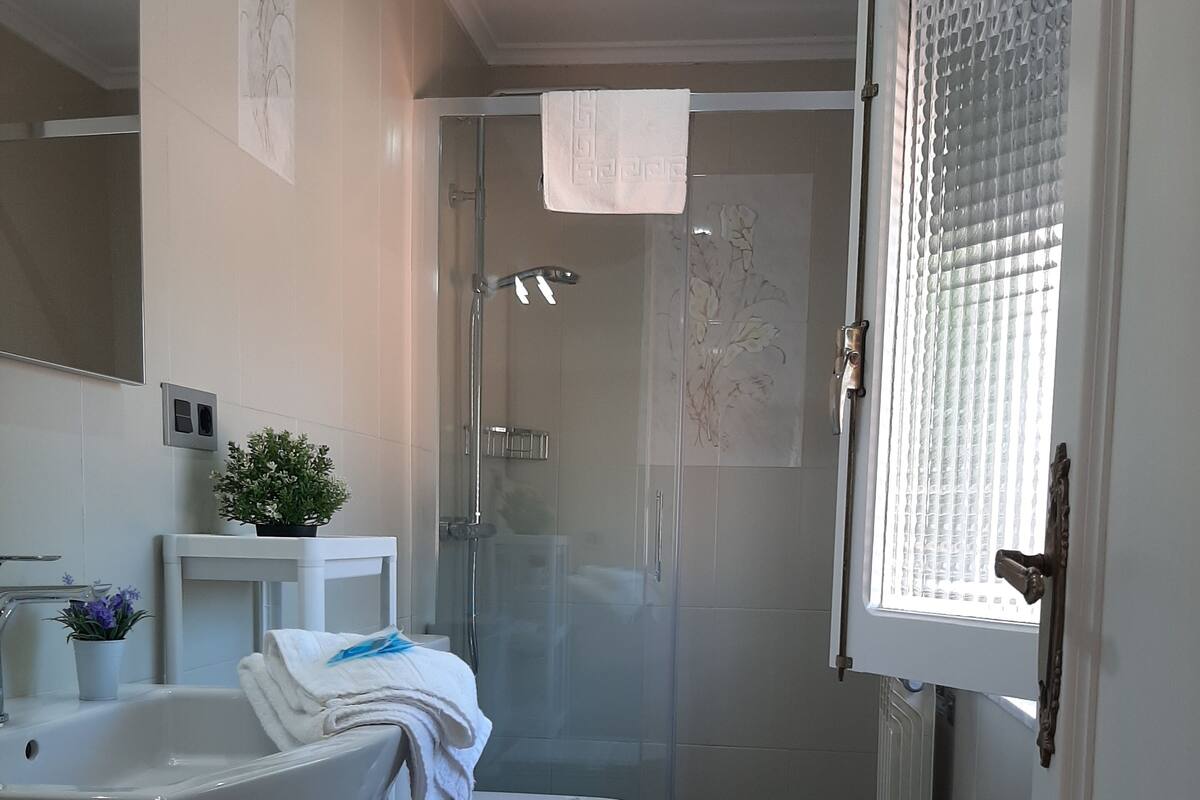 A compact bathroom with a white sink, toilet, and shower. A potted plant is on the sink, and a towel hangs on the shower door.