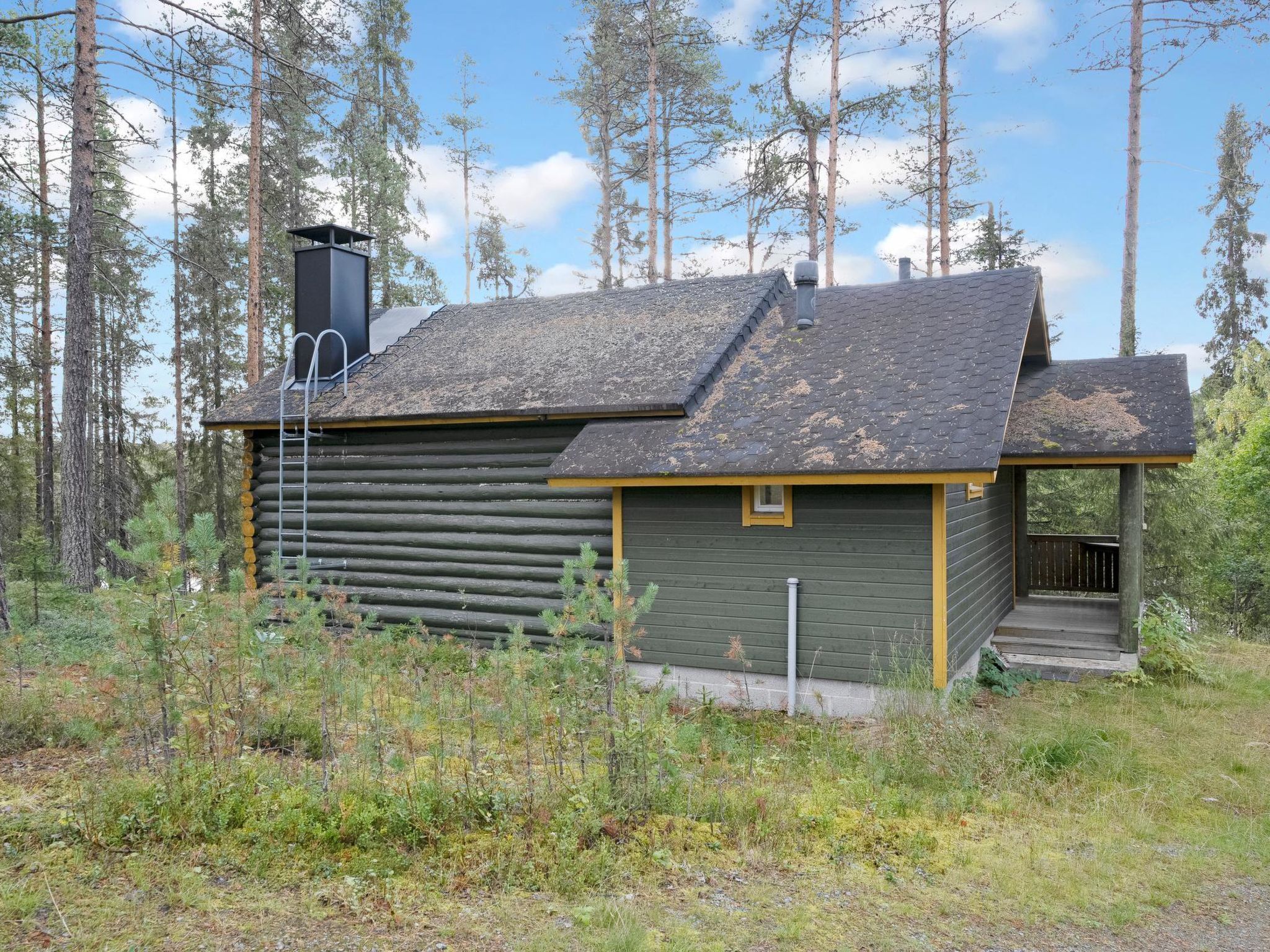 Eksteriør
