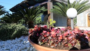 A house with a covered porch, a potted plant with red and green foliage, and a white spherical light fixture. - La Cicas (Anacapri)