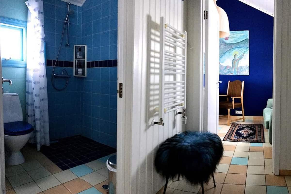 A bathroom with a blue tiled wall, a white door, a shower, and a toilet.