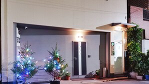 Entrada de un edificio con dos árboles de Navidad iluminados.
