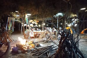 供应早餐、午餐和晚餐，越南菜