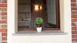 A kitchen with cabinets, a sink, and a potted plant in a window frame.
