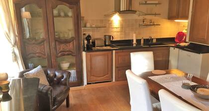 Village house in the heart of La Garde Freinet