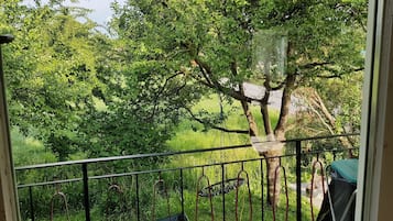 Àrea exterior de l'allotjament