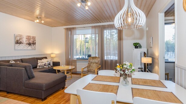 A modern living room with a sofa, dining table, and chairs. There is a ceiling light fixture and a window with curtains.