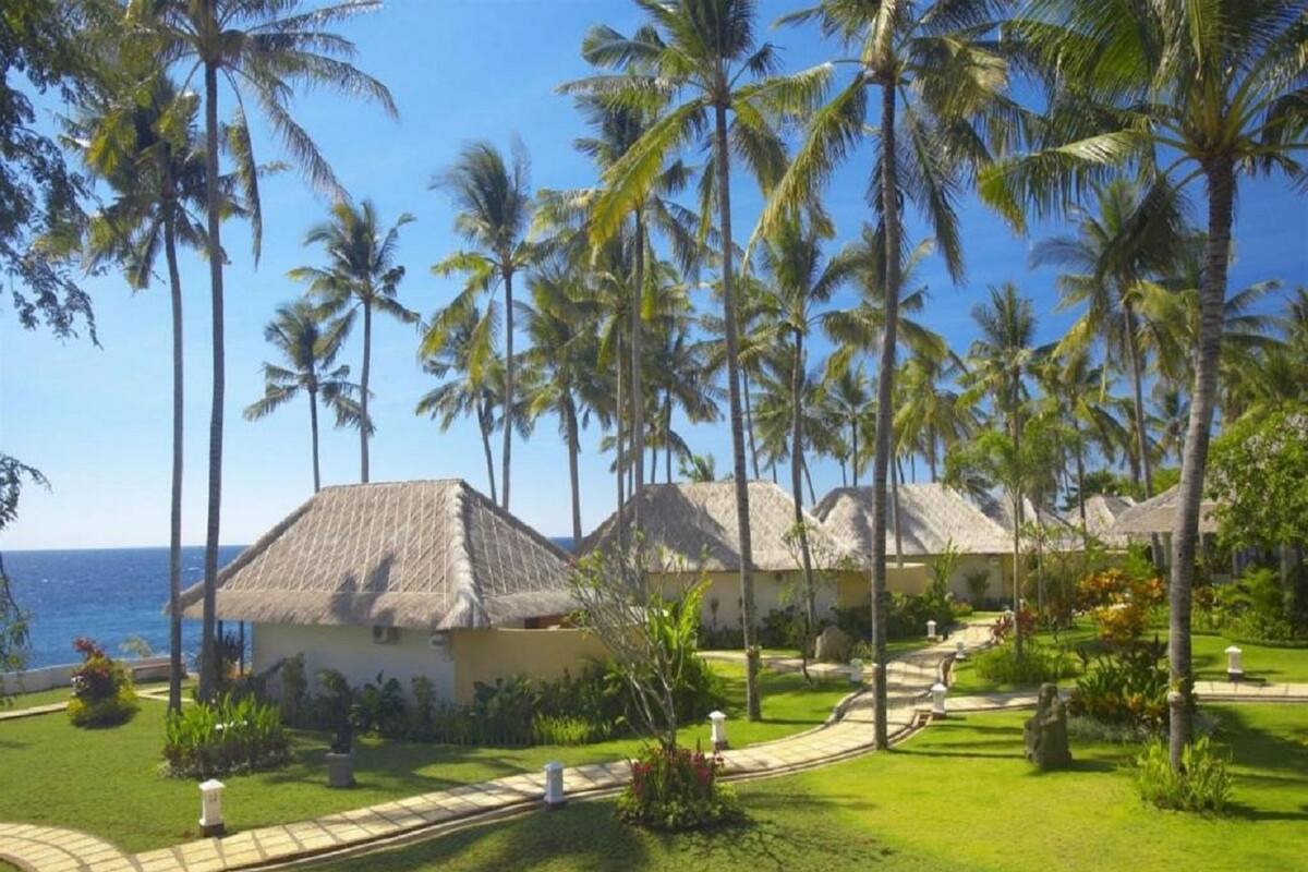 A resort with thatched-roof buildings, palm trees, and a pathway leading to the ocean.