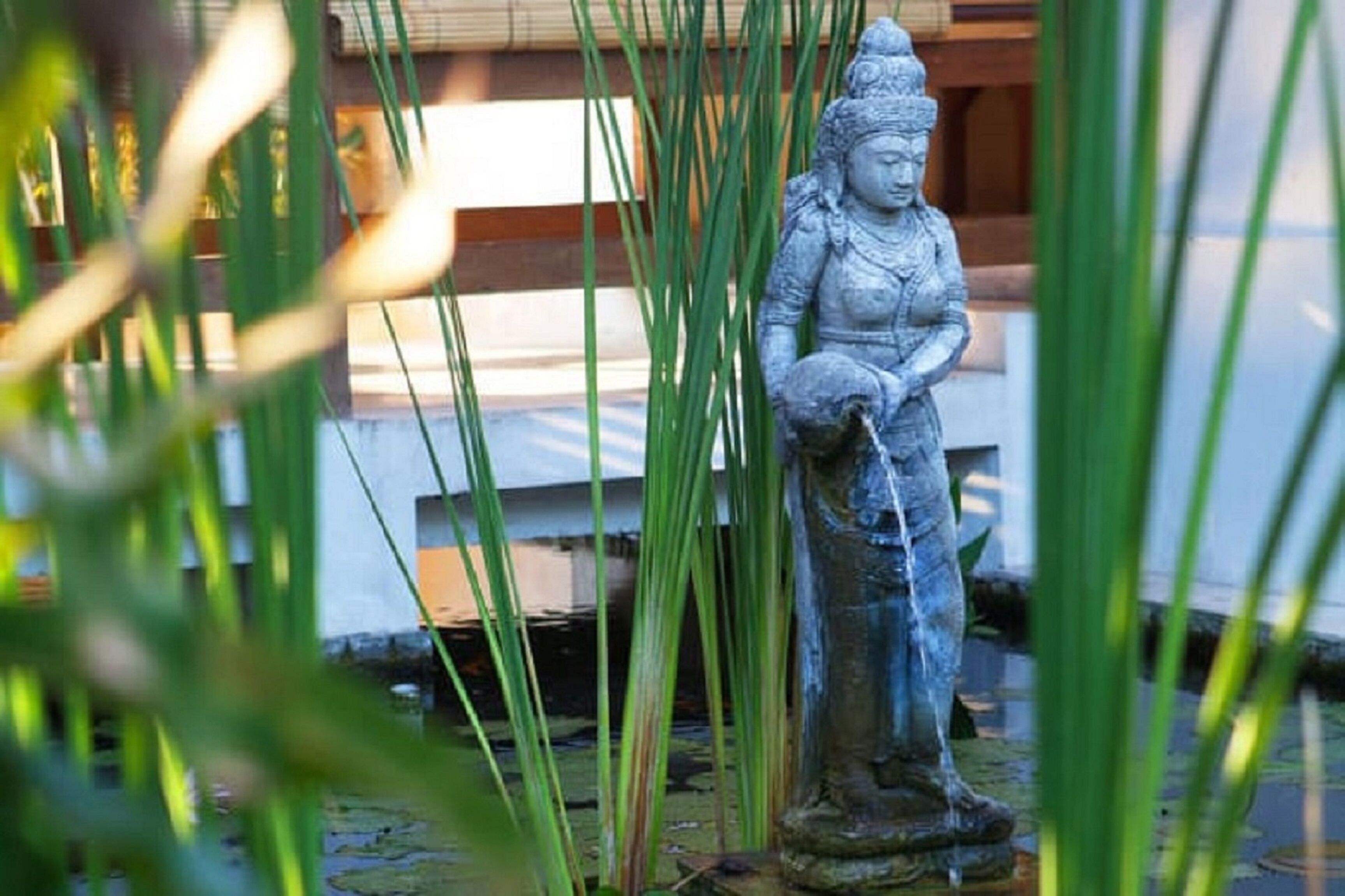 Una estàtua d'una figura amb vestimentes tradicionals, al bell mig d'una font roddejada d'herba alta.