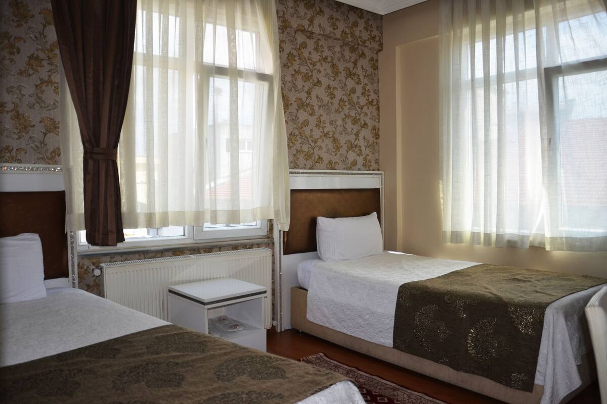 Standard Twin Room | Minibar, WiFi (free)
