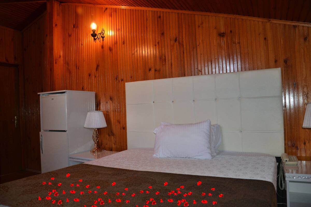 Standard Double Room | Minibar, WiFi (free)