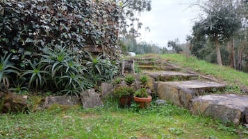 Área da propriedade