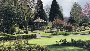 A well-maintained garden with a gazebo, neatly trimmed hedges, and a variety of trees. - Award Winning Little Gem on the Historic Cartway (Bridgnorth)