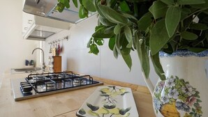 Une cuisine avec un cuisinière à gaz, une assiette blanche ornée de motifs floraux et une plante en pot.