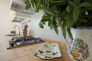 Kühlschrank, Ofen, Herdplatte, Geschirrspüler