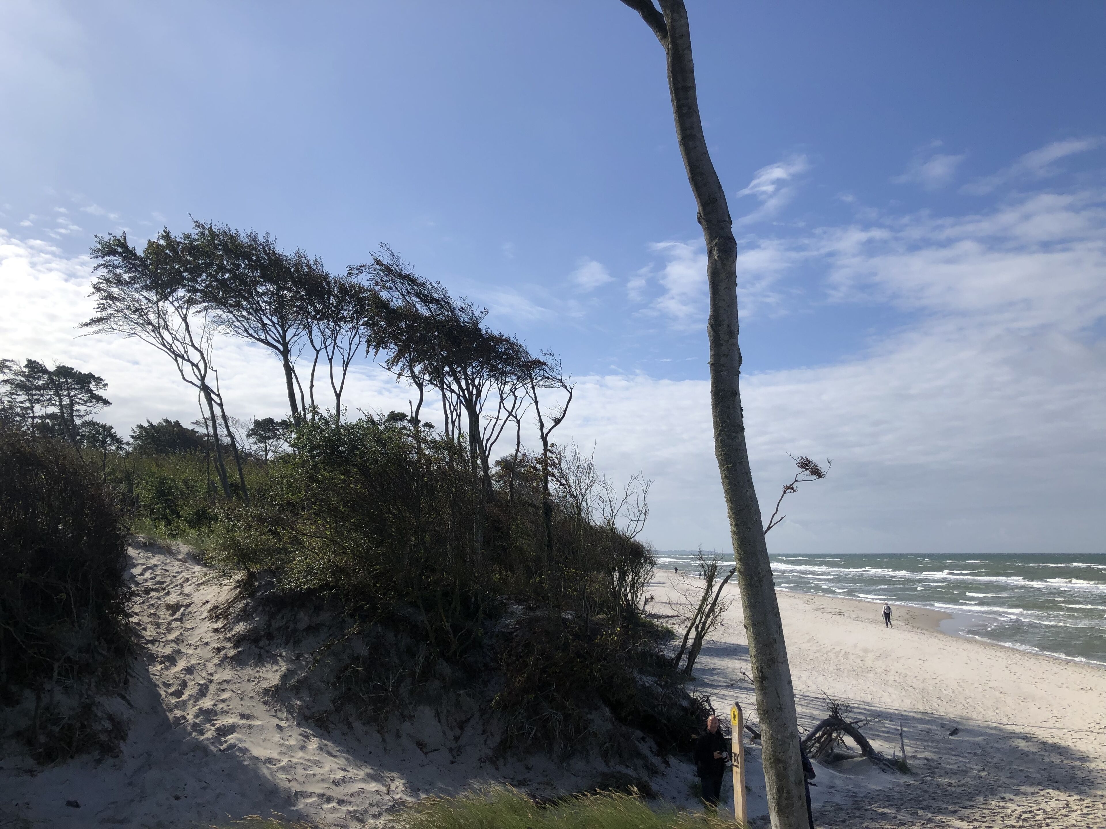 Una spiaggia nelle vicinanze, lettini da mare