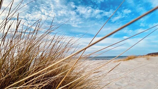 A beach with sand and tall grasses. - Bungalow Möwe (opposite the “Hus Günter”) (Seebad Ahlbeck, Mecklenburg-Vorpommern)