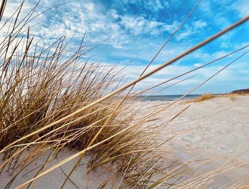 Bungalow Möwe (opposite the “Hus Günter”)