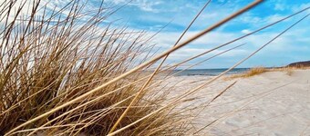 Bungalow Möwe (opposite the “Hus Günter”)