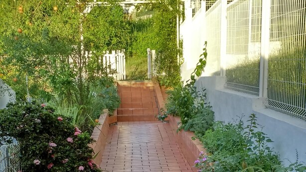 Un chemin pavé de briques, bordé d’une végétation luxuriante et d’une clôture blanche.