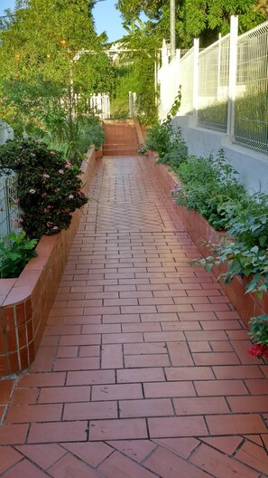 Um caminho de tijolos ladeado por vegetação exuberante e um muro branco.