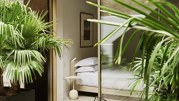 A modern bedroom with a bed, bedside table, and a large potted plant. - Weymouth Mews (London)