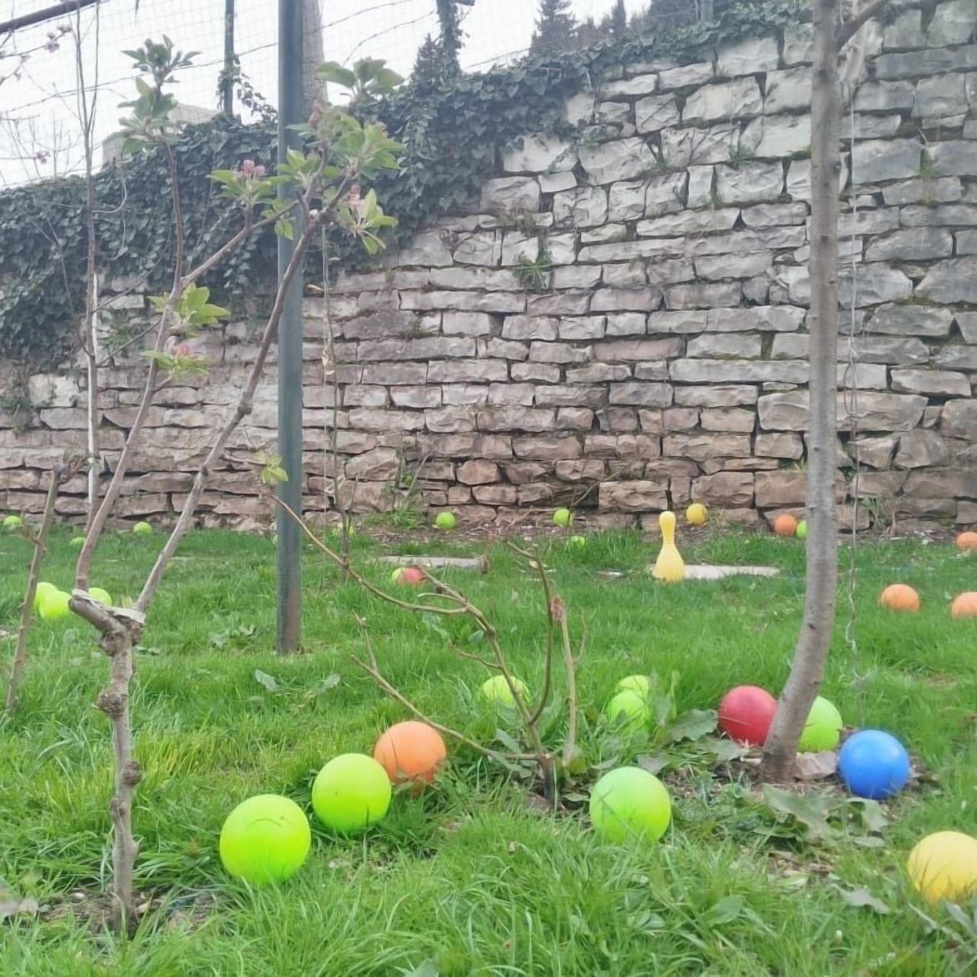 Photo - Guest House Bake